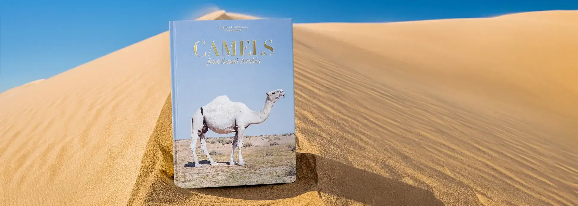 Camels from Saudi Arabia (Classic)